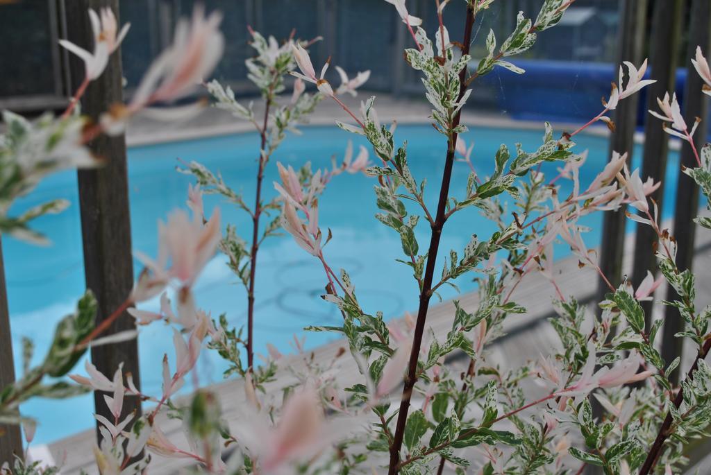 L'Arbre D'Alais Bed & Breakfast Saint-Fulgent Exterior foto